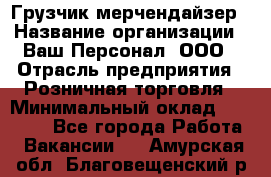 Грузчик-мерчендайзер › Название организации ­ Ваш Персонал, ООО › Отрасль предприятия ­ Розничная торговля › Минимальный оклад ­ 12 000 - Все города Работа » Вакансии   . Амурская обл.,Благовещенский р-н